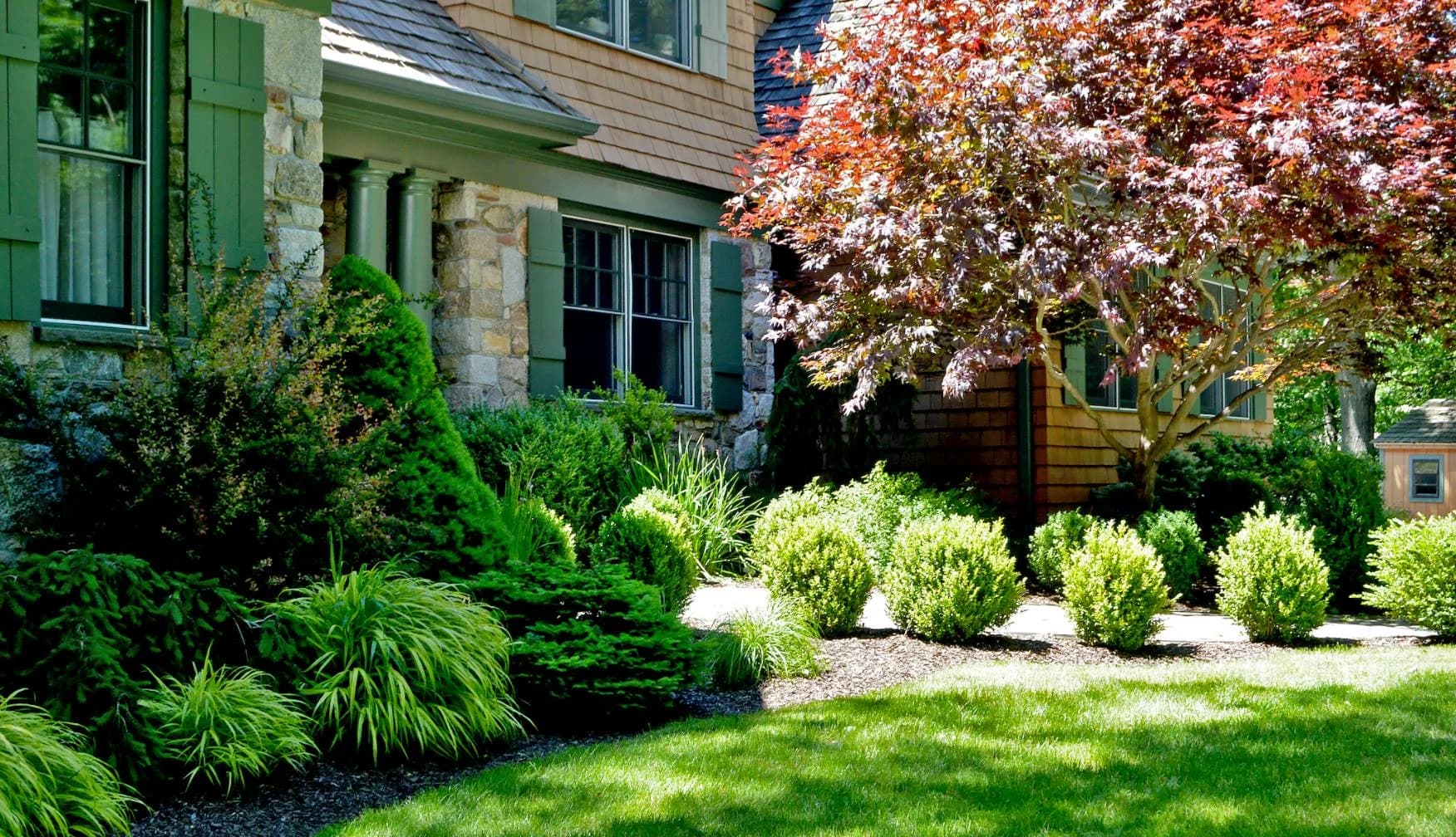 Tree & Shrub Planting Services in Conroe, TX